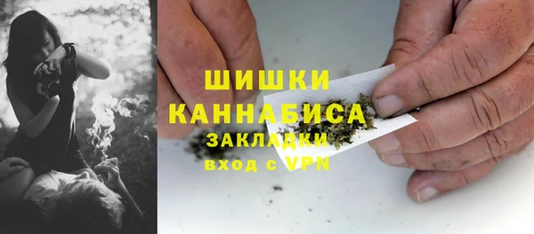 PSILOCYBIN Балахна