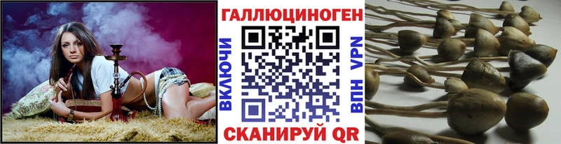 блэк спрут ссылка  Новосиль  Псилоцибиновые грибы ЛСД 