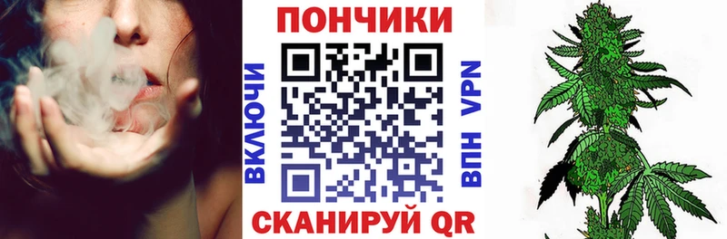 Шишки марихуана марихуана  купить   Новосиль 